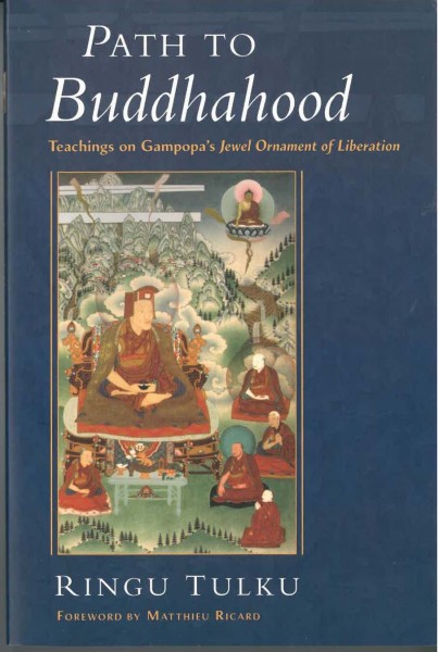 Path to Buddhahood von Ringu Tulku - GEBRAUCHT