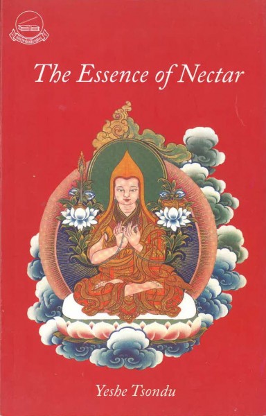The Essence of Nectar von Yeshe Tsondu - GEBRAUCHT