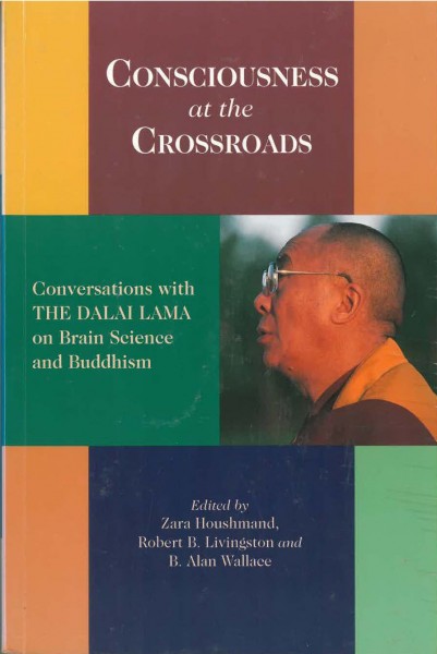 Consciousness at the Crossroads - GEBRAUCHT