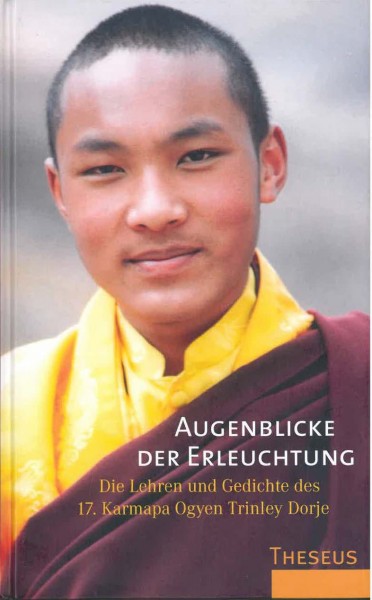 Augenblicke der Erleuchtung - Die Lehren und Gedichte des 17.Karmapa Ogyen Trinley Dorje -GEBRAUCHT